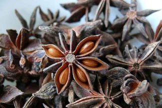 Anise Essential Oil