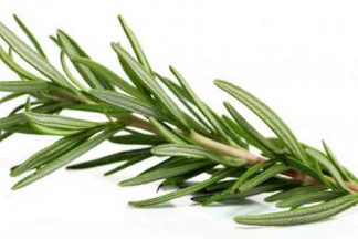 Rosemary Hydrolat