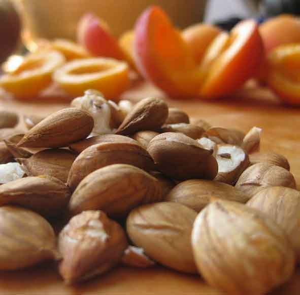 Apricot Kernel Oil