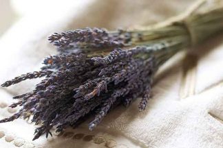 Fleurs de Lavande séchées